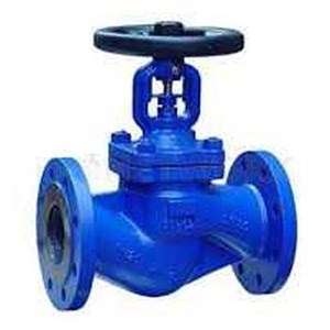 GLOBE VALVE CAST IRON PN16